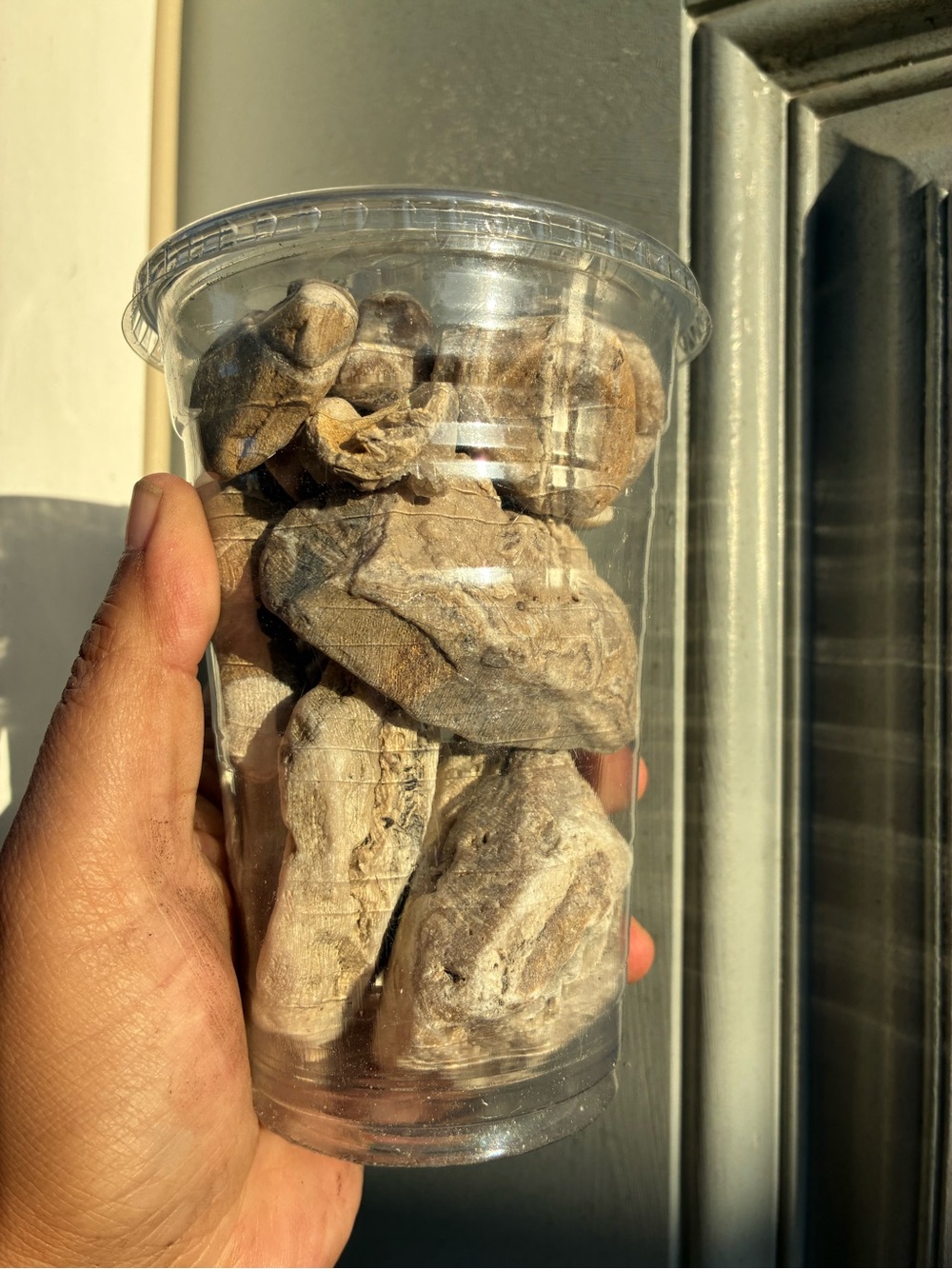 1.4 lbs of Naturally Sea Tumbled rocks #stones #minerals - Picture 14 of 15